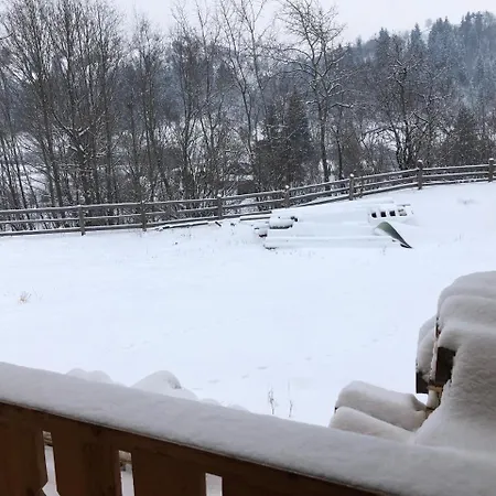 Herberg гуцульська хата Yasinya