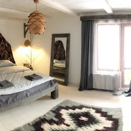 гуцульська хата Yasinya