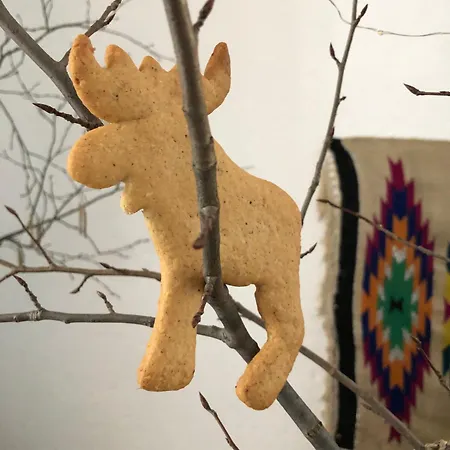 гуцульська хата Herberg Yasinya