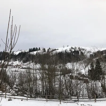 гуцульська хата Inn *